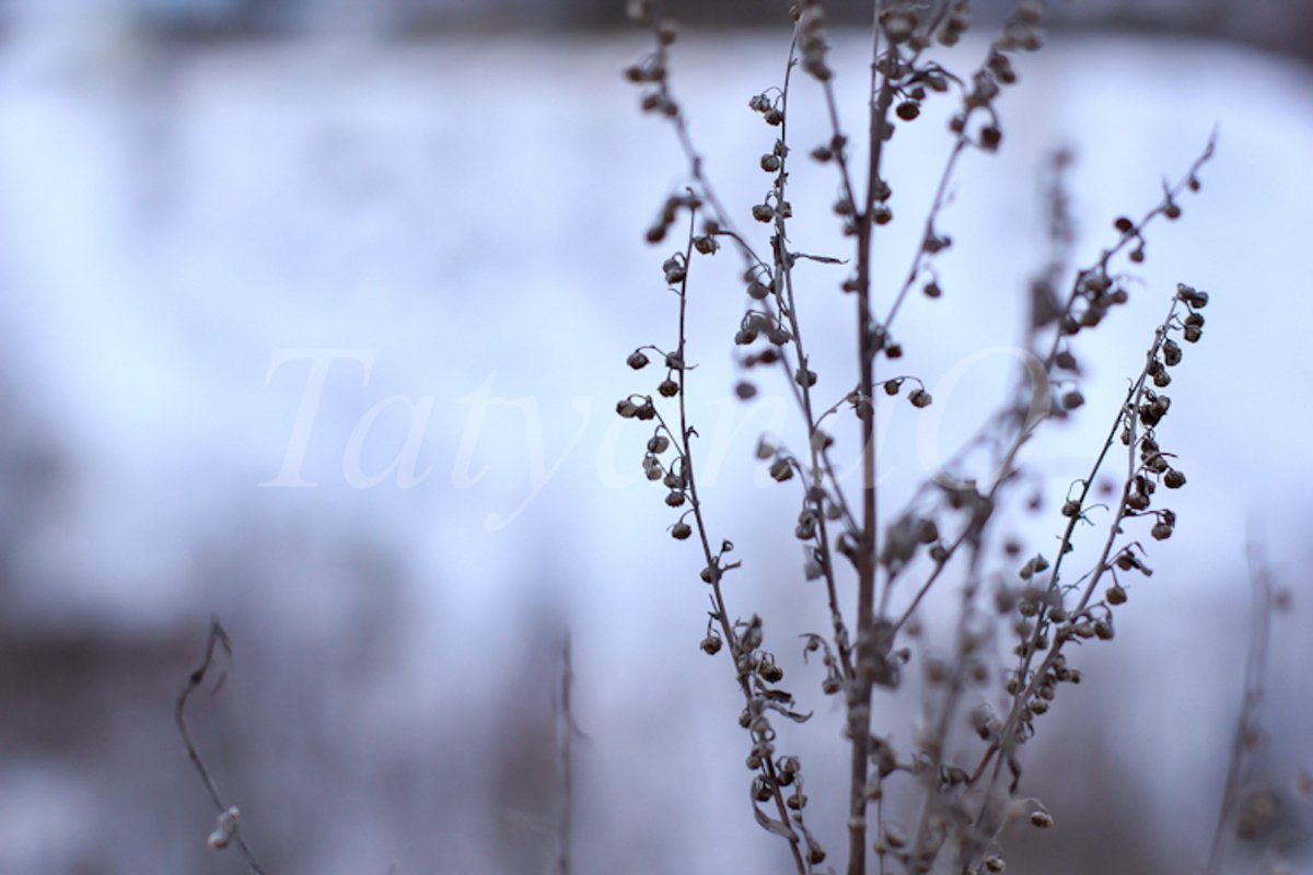 concept of winter mood, atmosphere example image 1
