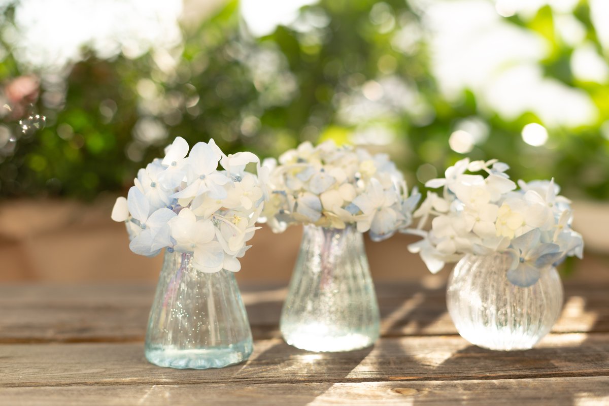 Blue hydrangea in crystal vase on wooden table. Home garden example image 1