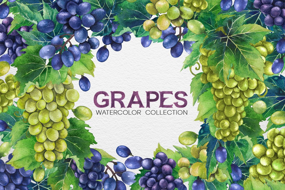 Watercolor Grapes example image 1