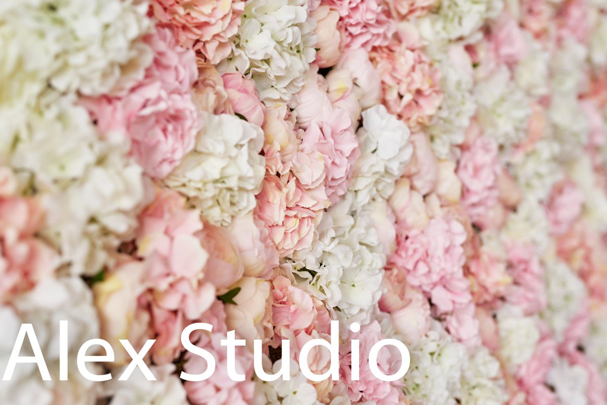Summer blossoming delicate roses and hydrangeas on flowers f example image 1