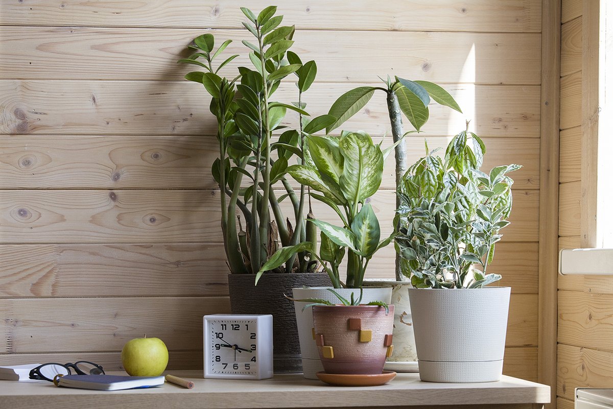 Home office table with notebook, flowers, apple, glasses example image 1