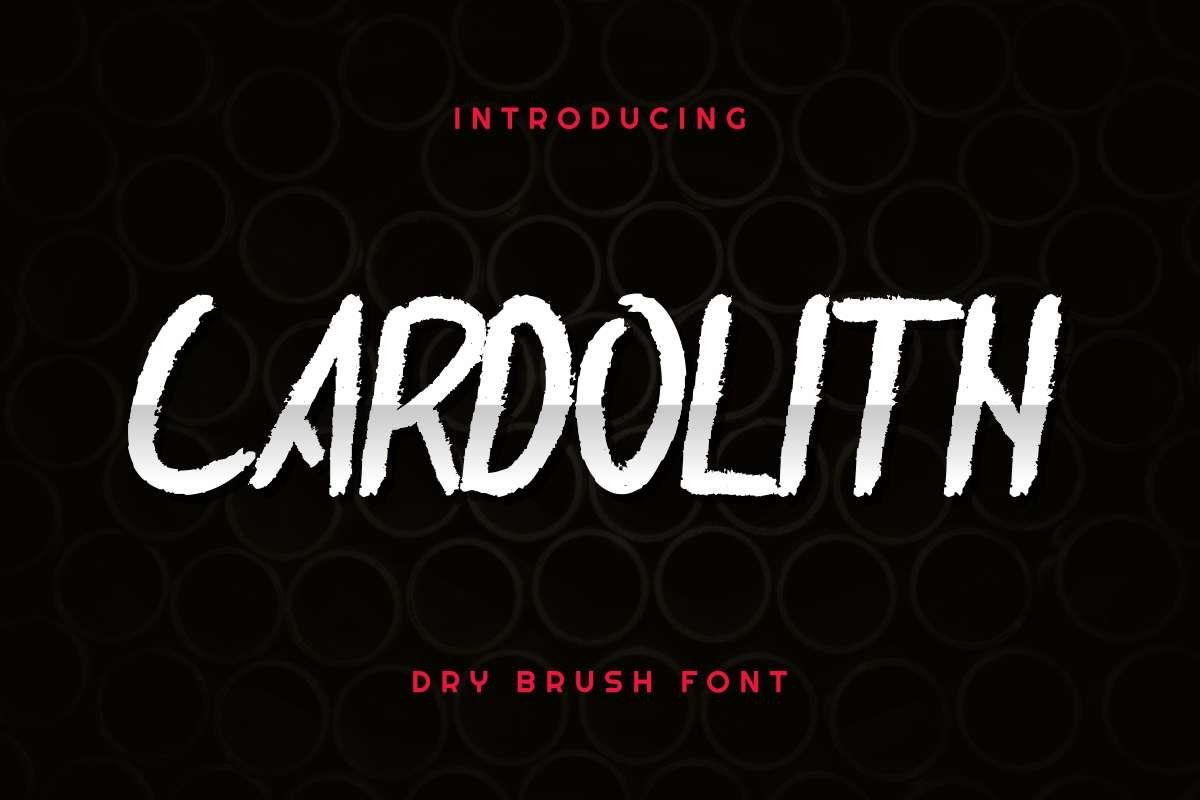 Cardolith example image 1