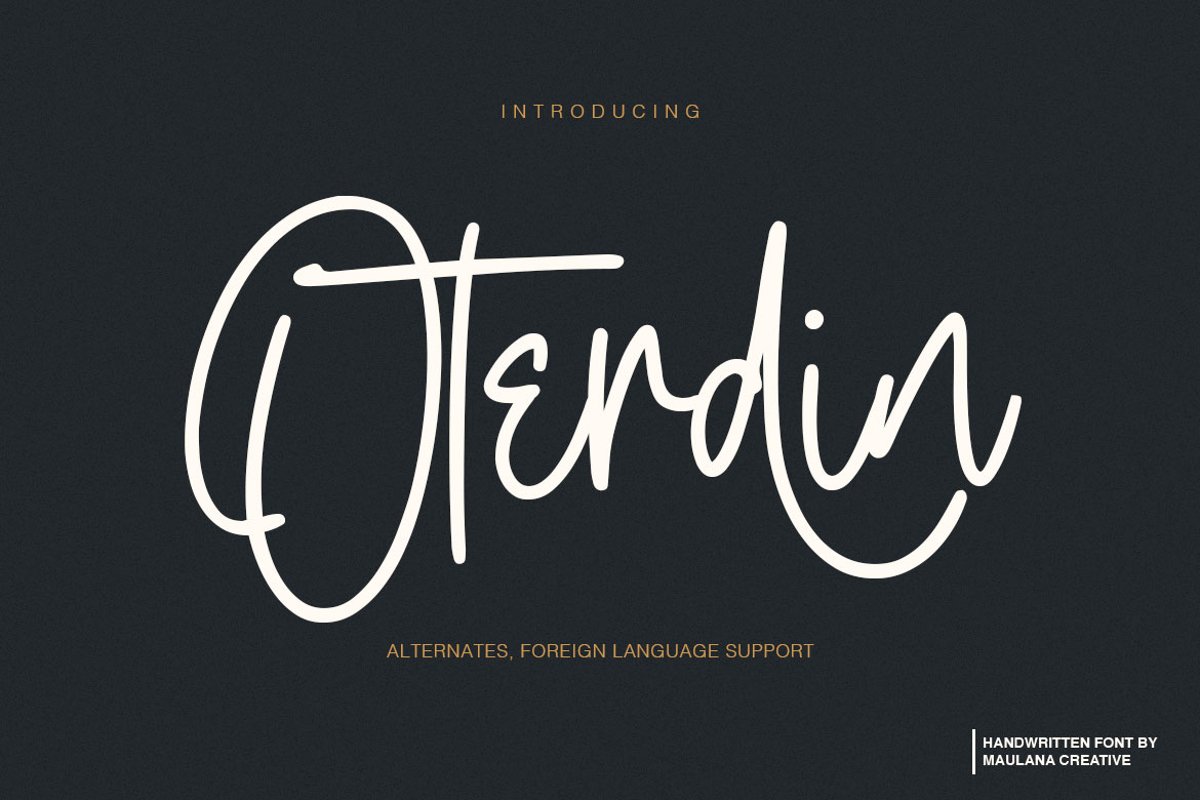 Oterdin - Handwritten Font example image 1