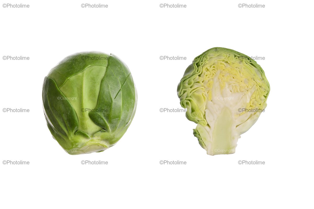 Brussel sprouts isolated. Brassica oleracea. example image 1