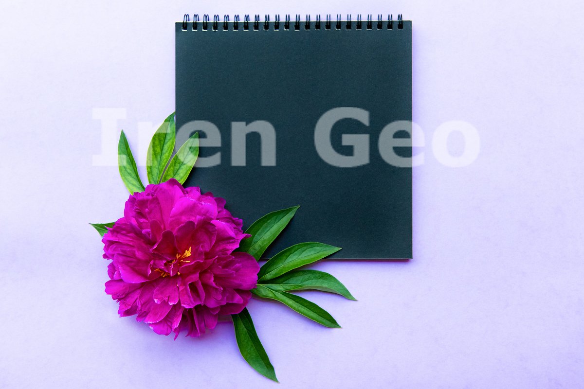 Mockup with black Notepad and large lush peony example image 1