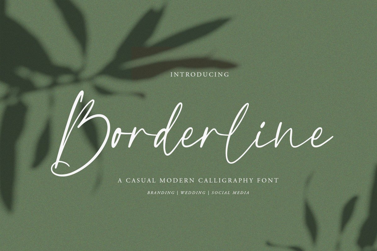 Borderline | Calligraphy Font example image 1