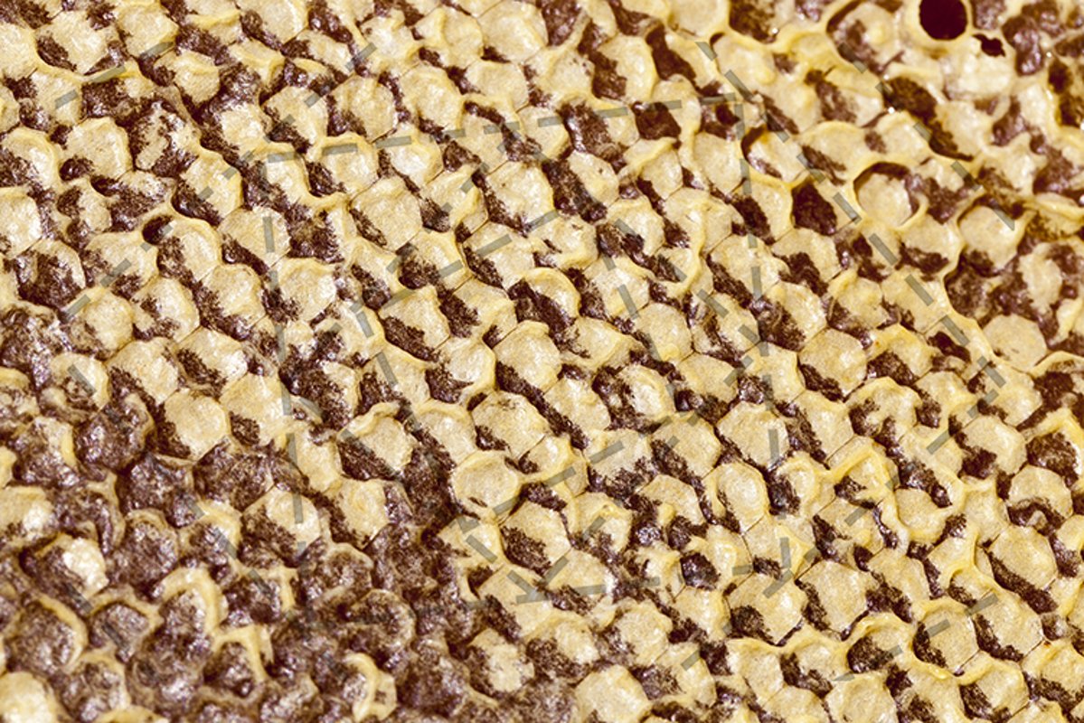 hexagonal form honeycomb example image 1