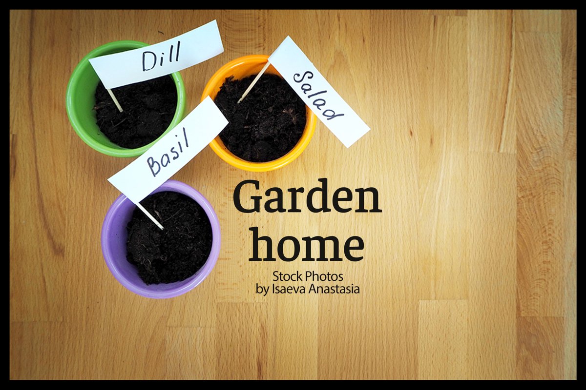 Wood background with garden tools example image 1