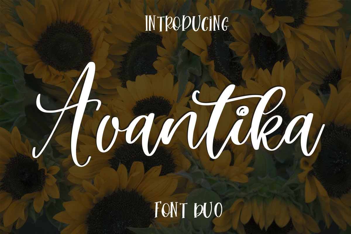 Avantika Font Duo example image 1