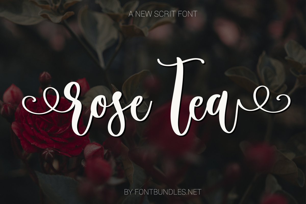 Rose Tea Script Font with swashes example image 1
