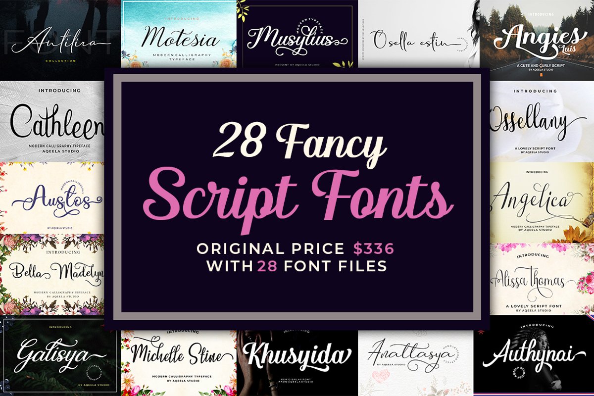 28 Fancy Script Fonts example image 1
