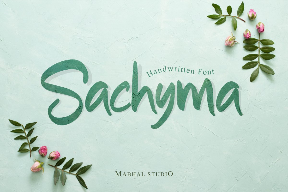 Sachyma example image 1