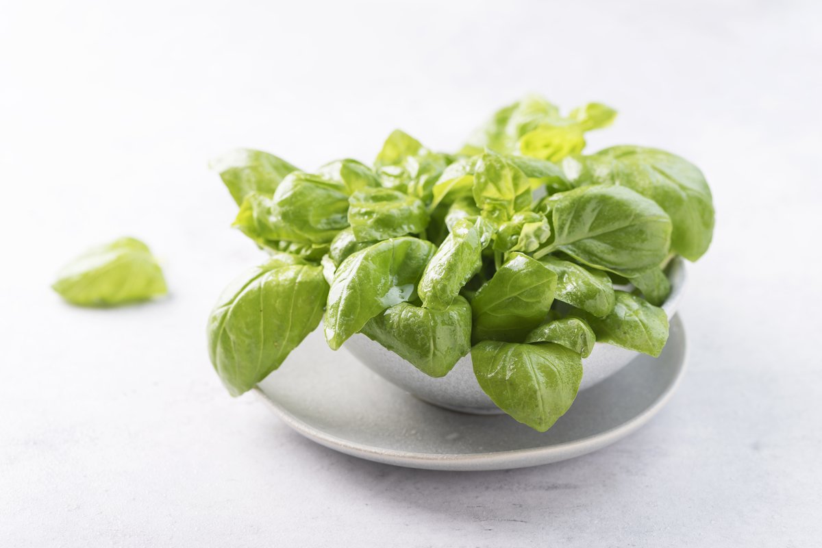 Fresh green basil in the ceramic bowl example image 1