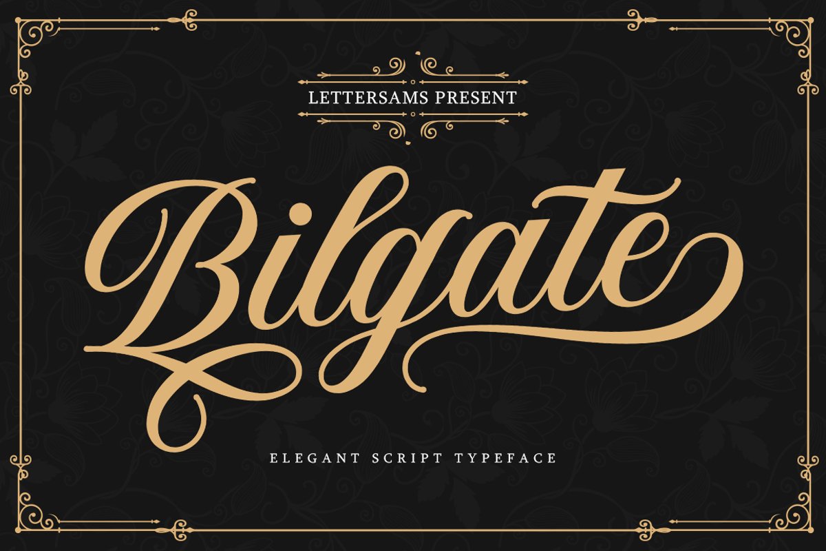 Bilgate Script example image 1
