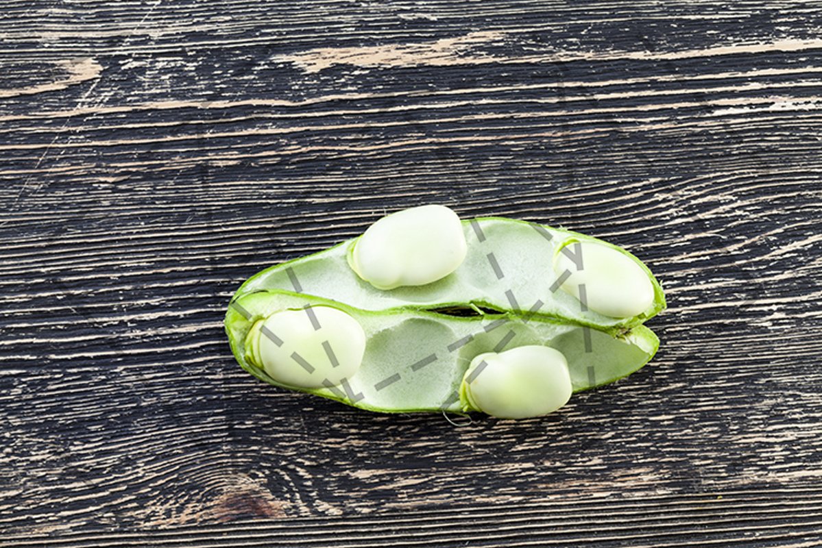 open green ripe bean example image 1
