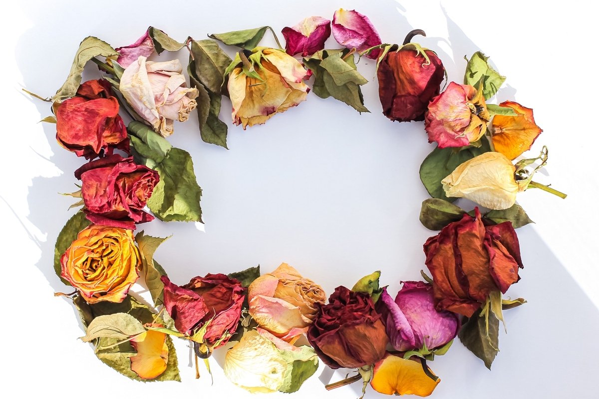 Frame of laid out dry buds of roses, petals, leaves example image 1