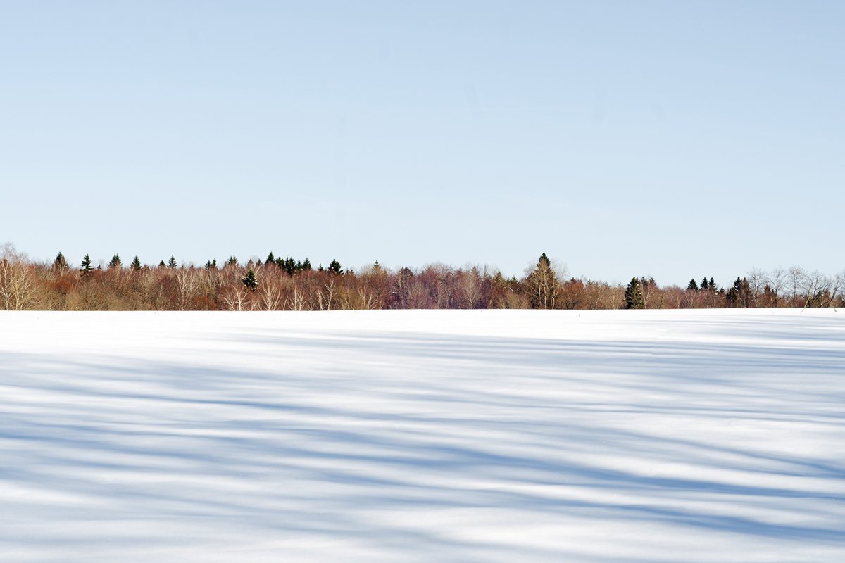 Winter landscape. Shadows on the white snow. example image 1