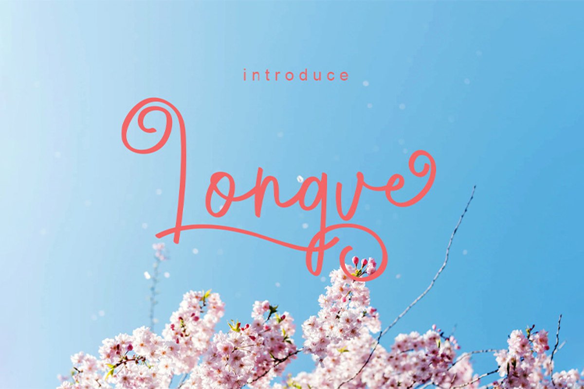 Longve || Elegant Handwriting Font example image 1