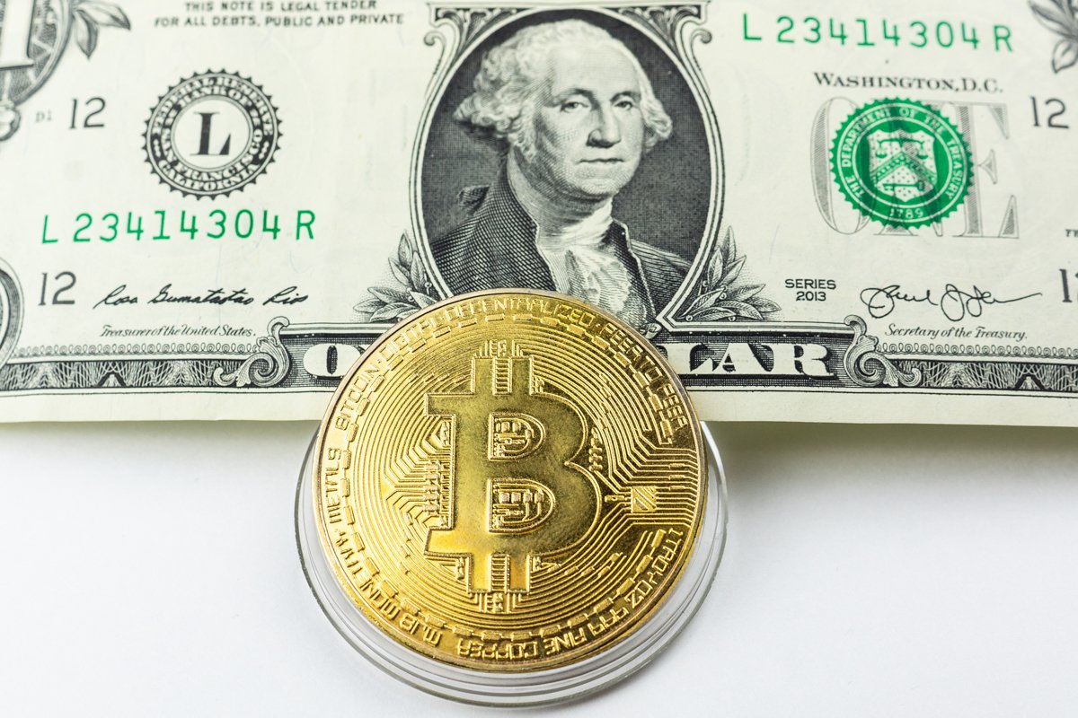 bitcoin and dollar example image 1