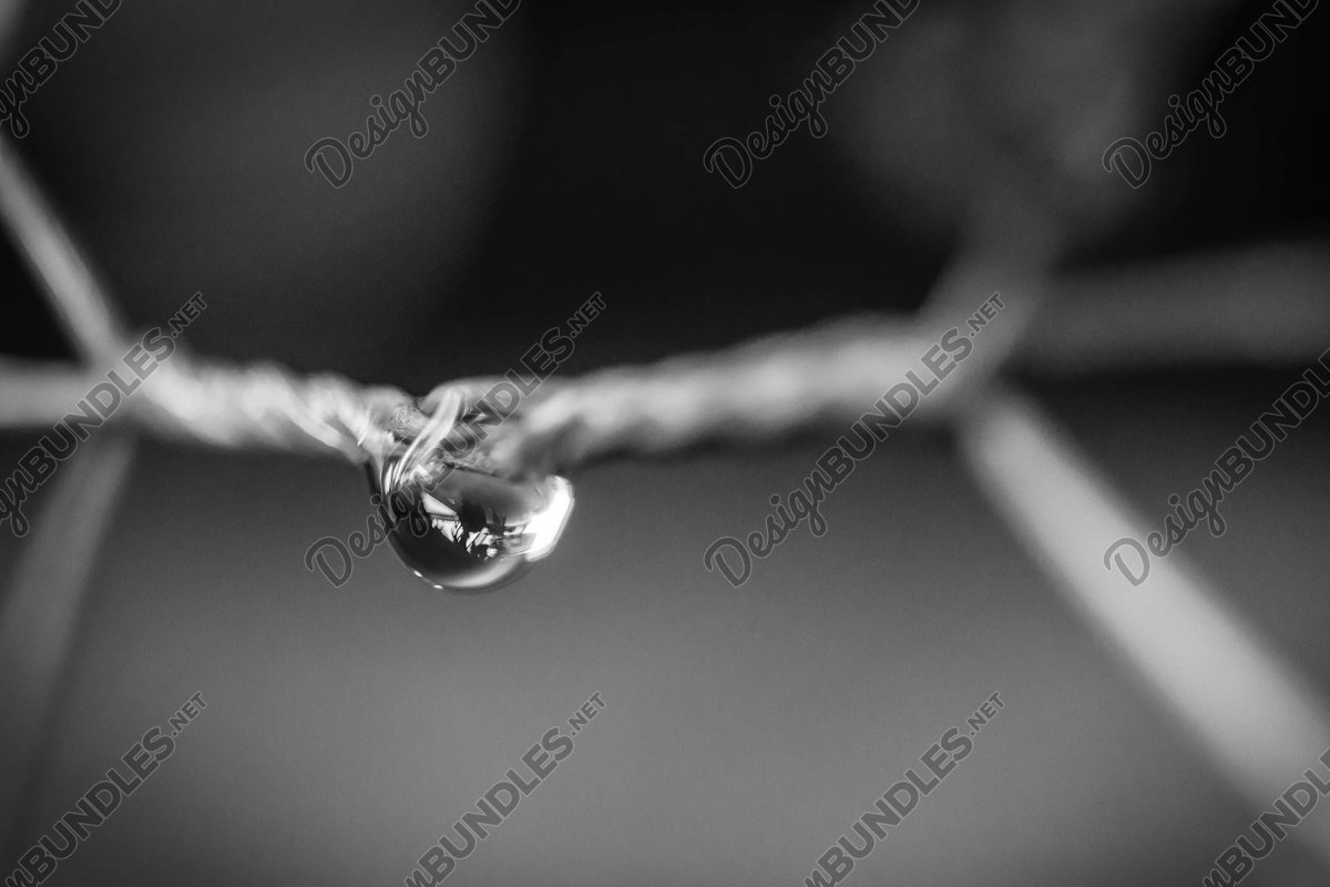 Stock Photo - Water droplets on a metal fencing example image 1
