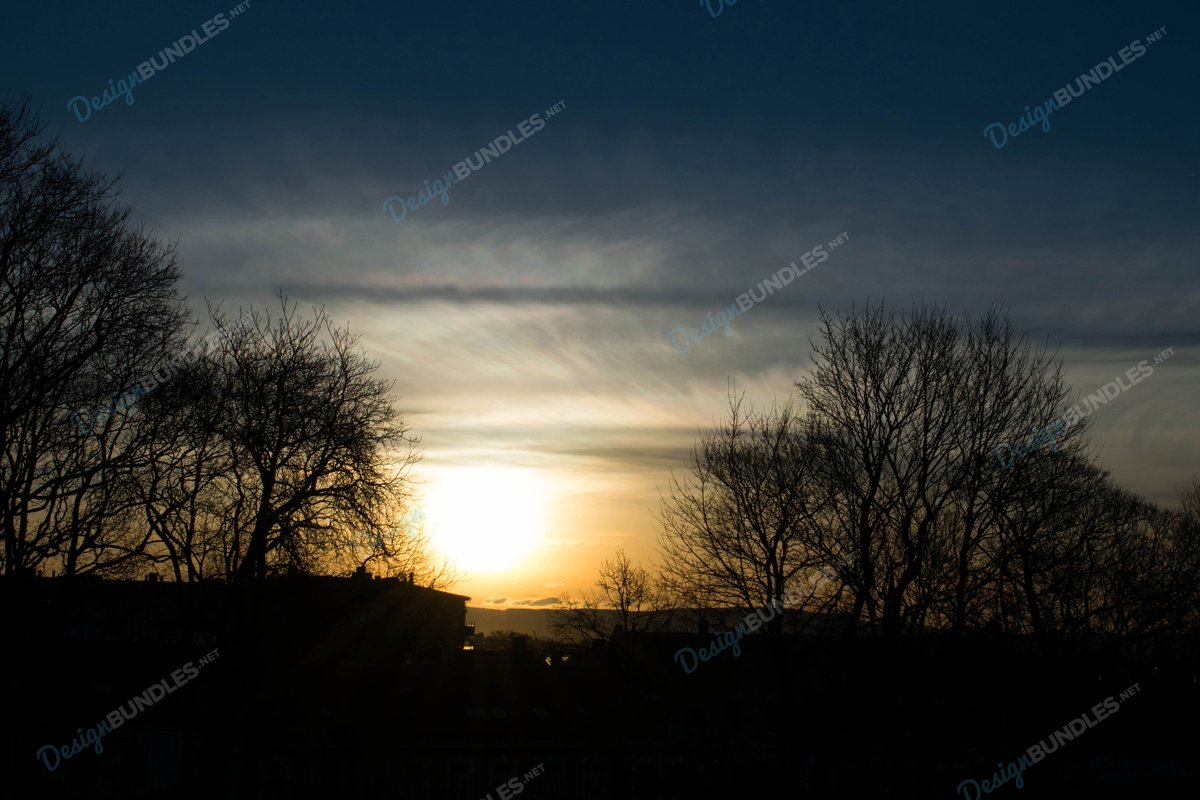 Stock Photo - Silhouette Of Trees At Sunset example image 1
