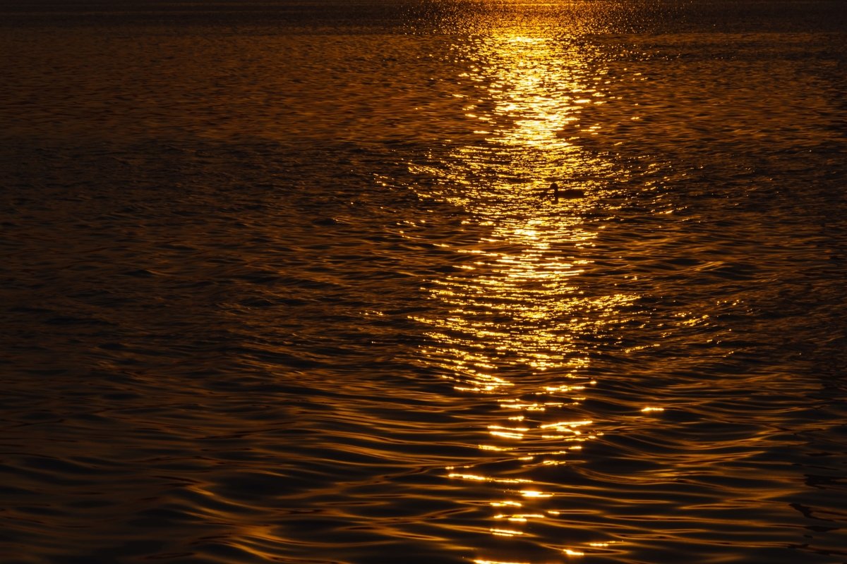 Beautiful sunset over the river. Duck in the solar path example image 1