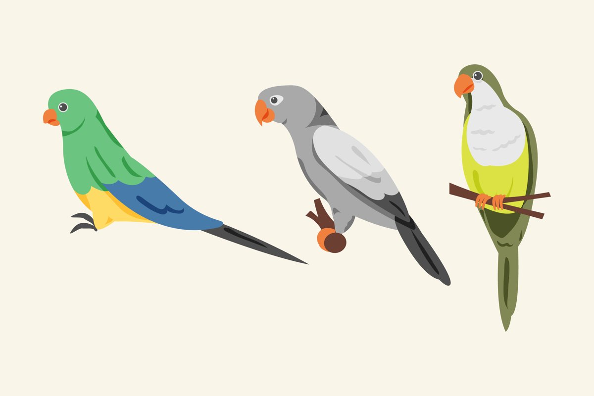 Parrot Illustrations example image 1
