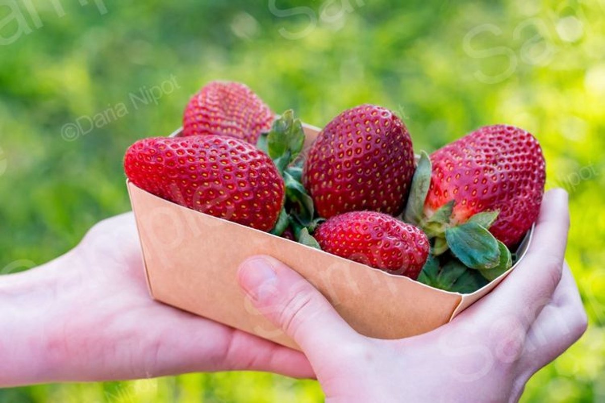 Strawberries in recyclable paper box example image 1