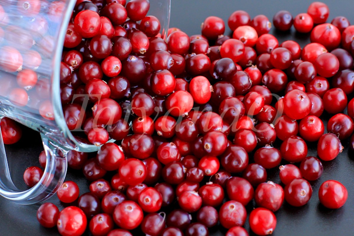 Cranberries background example image 1