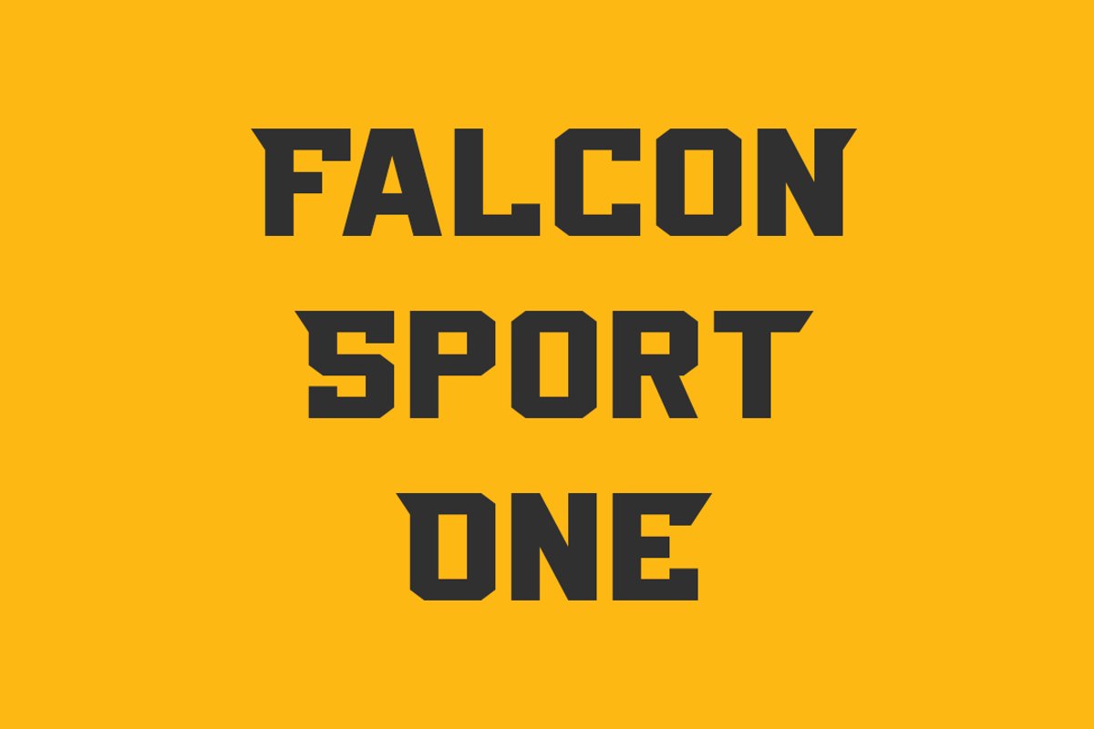 Falcon Sport One example image 1