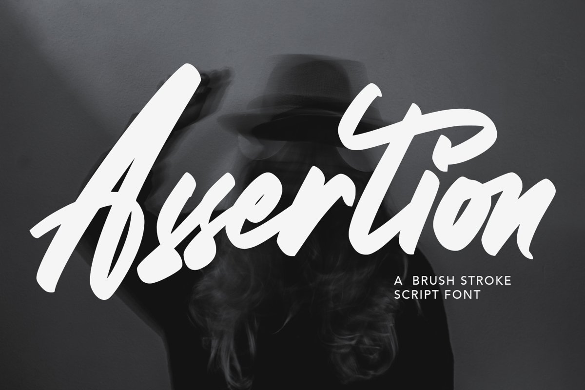 Assertion - Stroke Script Font example image 1