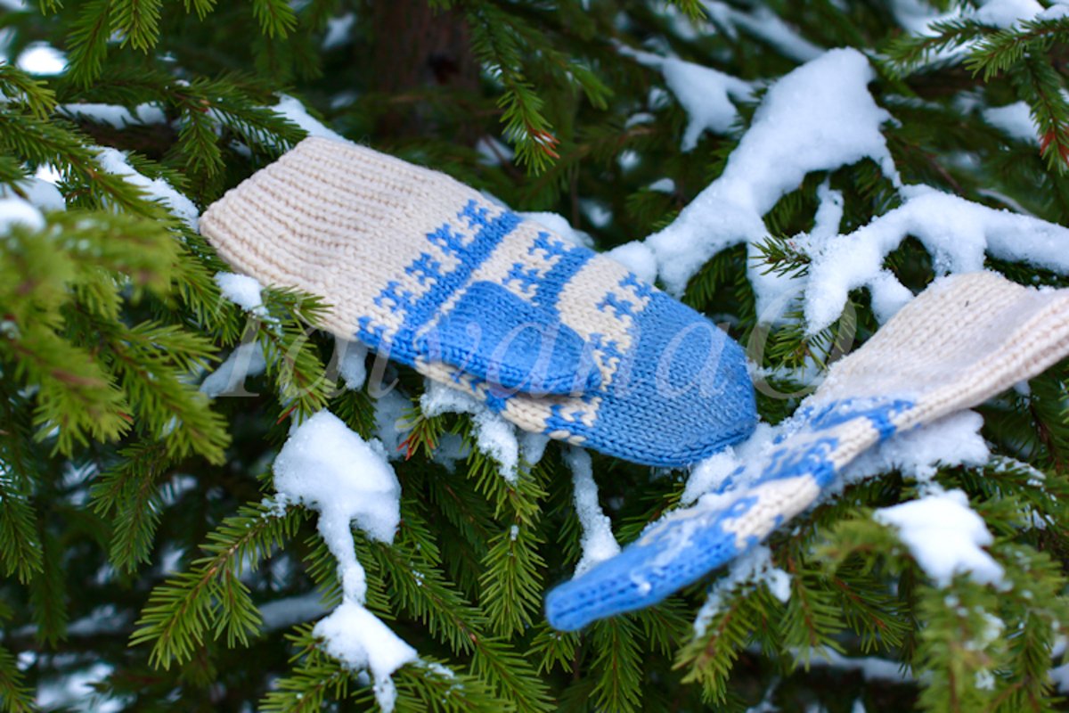 The concept of wintertime, holidays. example image 1
