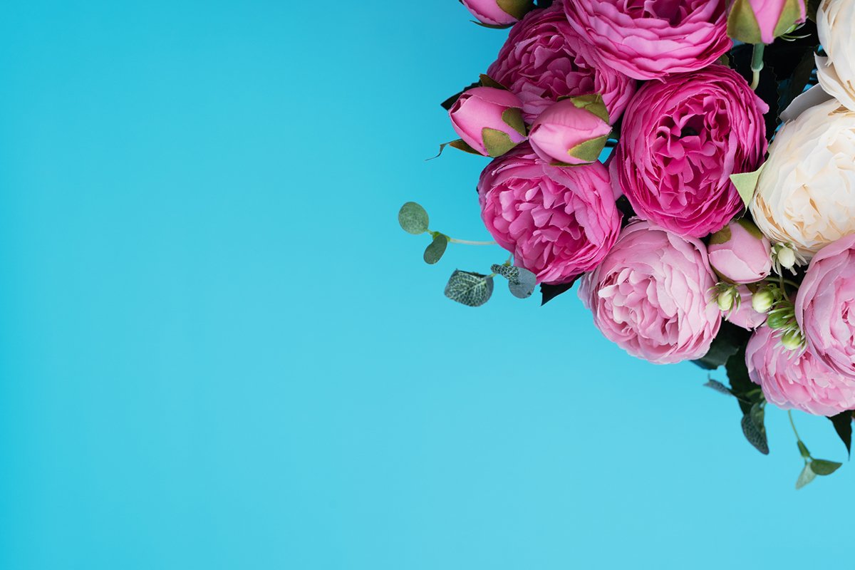 Pink and white flowers on blue background. example image 1