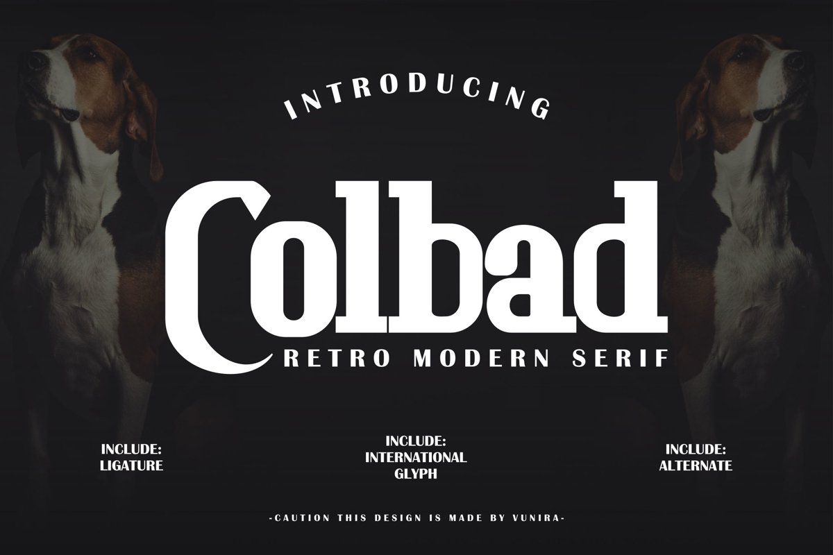 Colbad | Retro Modern Serif example image 1