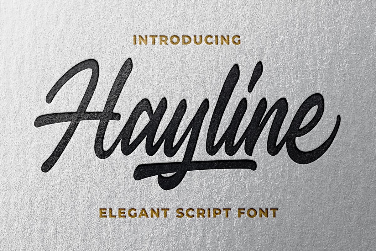 Hayline - Elegant Script Font example image 1