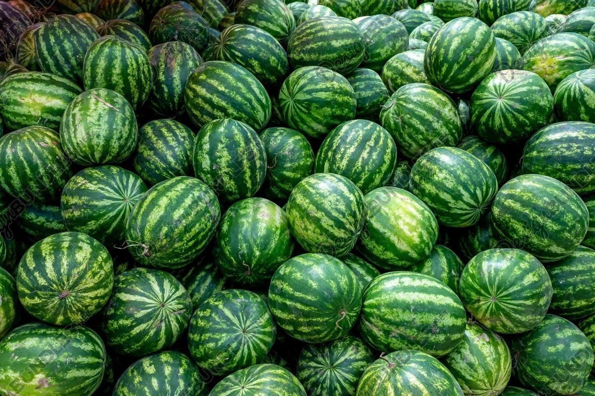 Stock Photo - Full Frame Shot Of Watermelons example image 1