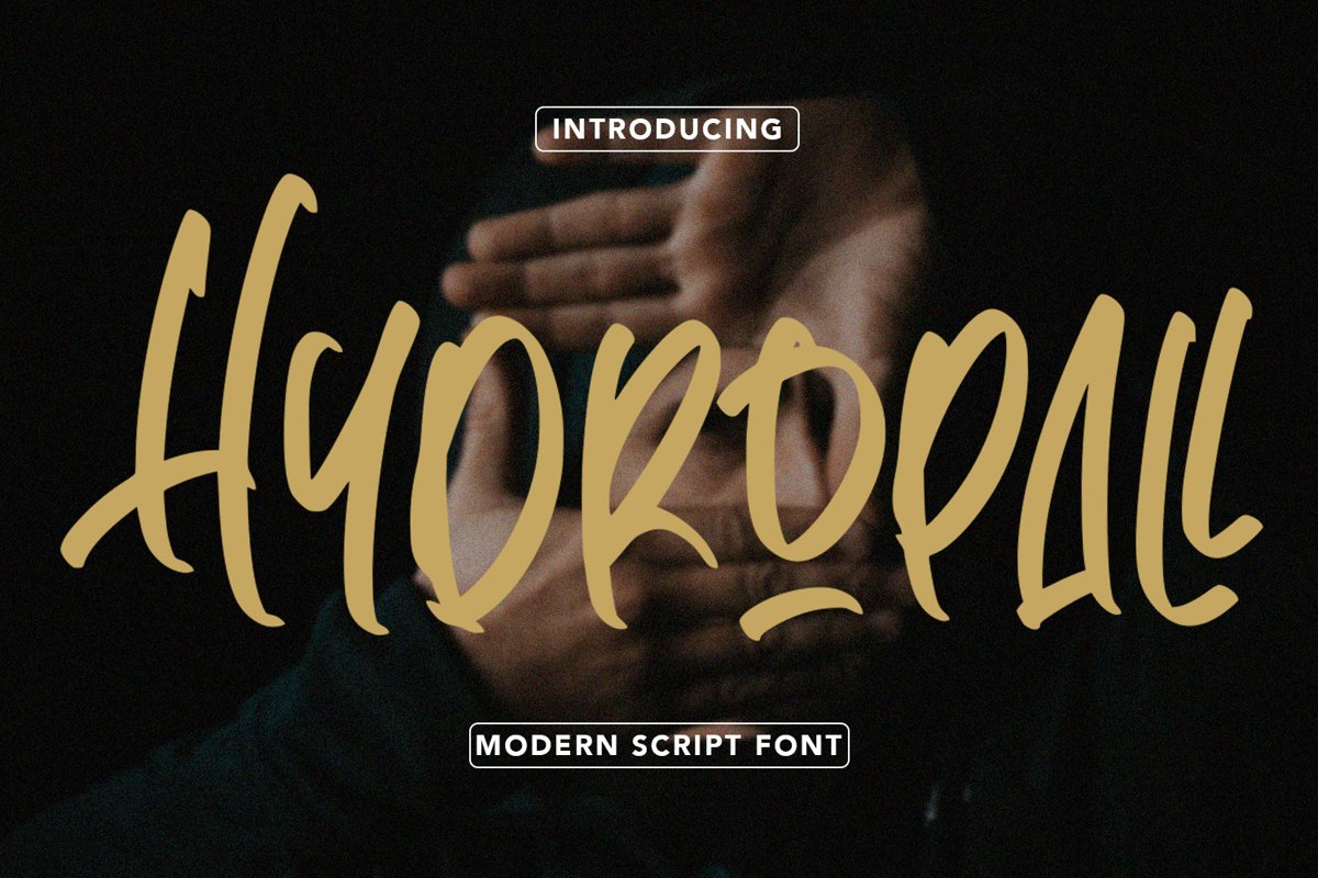 Hydropall - Modern Script Font example image 1