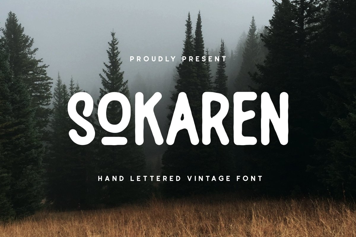 Sokaren Single Line Font example image 1