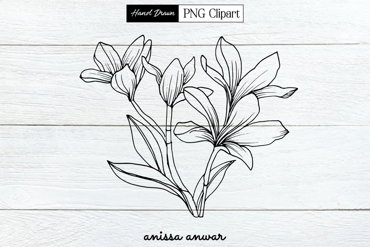 Flowers Bouquet Line Art, Png Clipart, Sublimation Printable example image 1