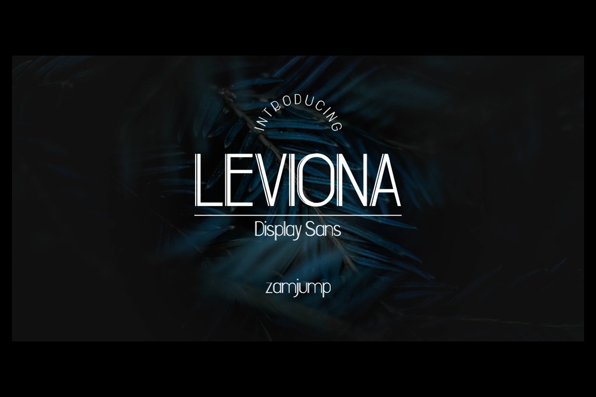 LEVIONA DISPLAY SANS example image 1