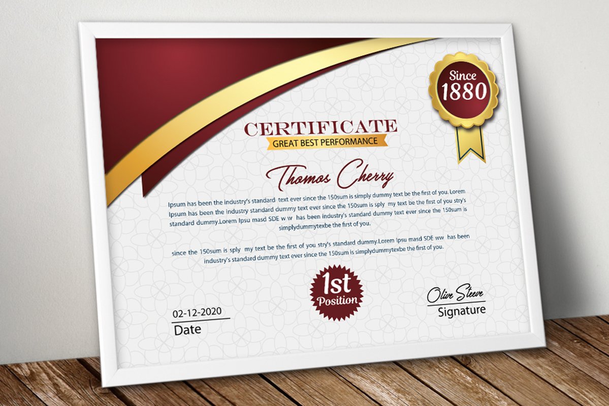 Professional Certificate Psd Template 484711 Branding Design Bundles