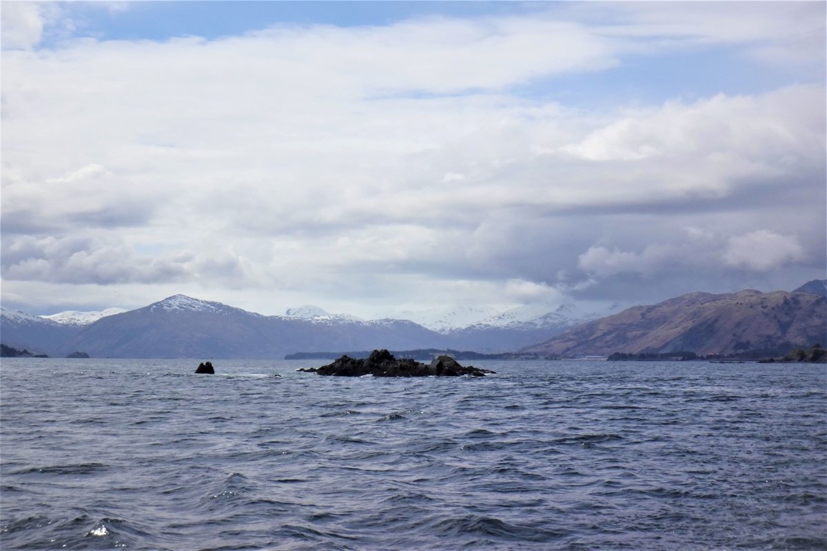 Boat cruise in Kodiak, Alaska example image 1