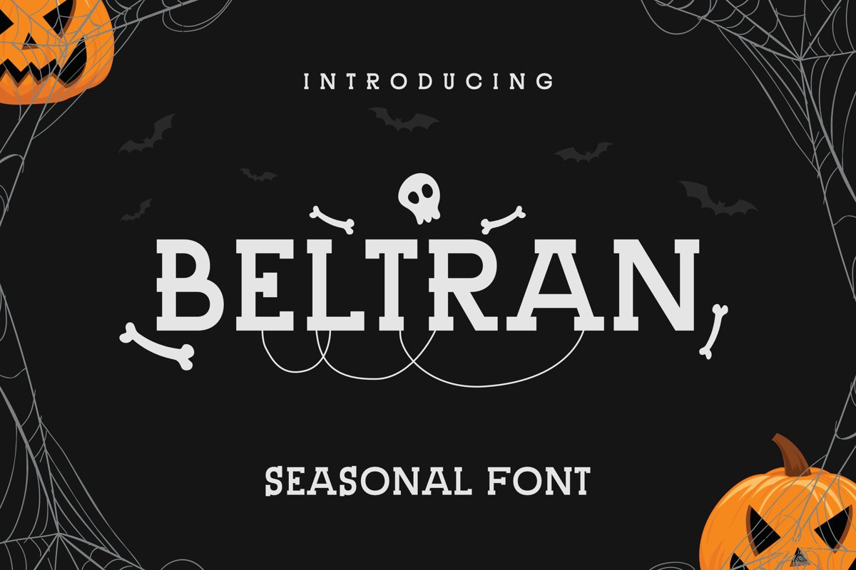 Beltran Font example image 1