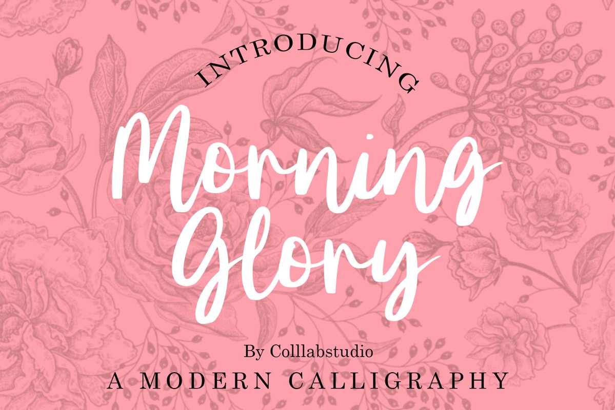Morning Glory - A Modern Calligraphy Font example image 1