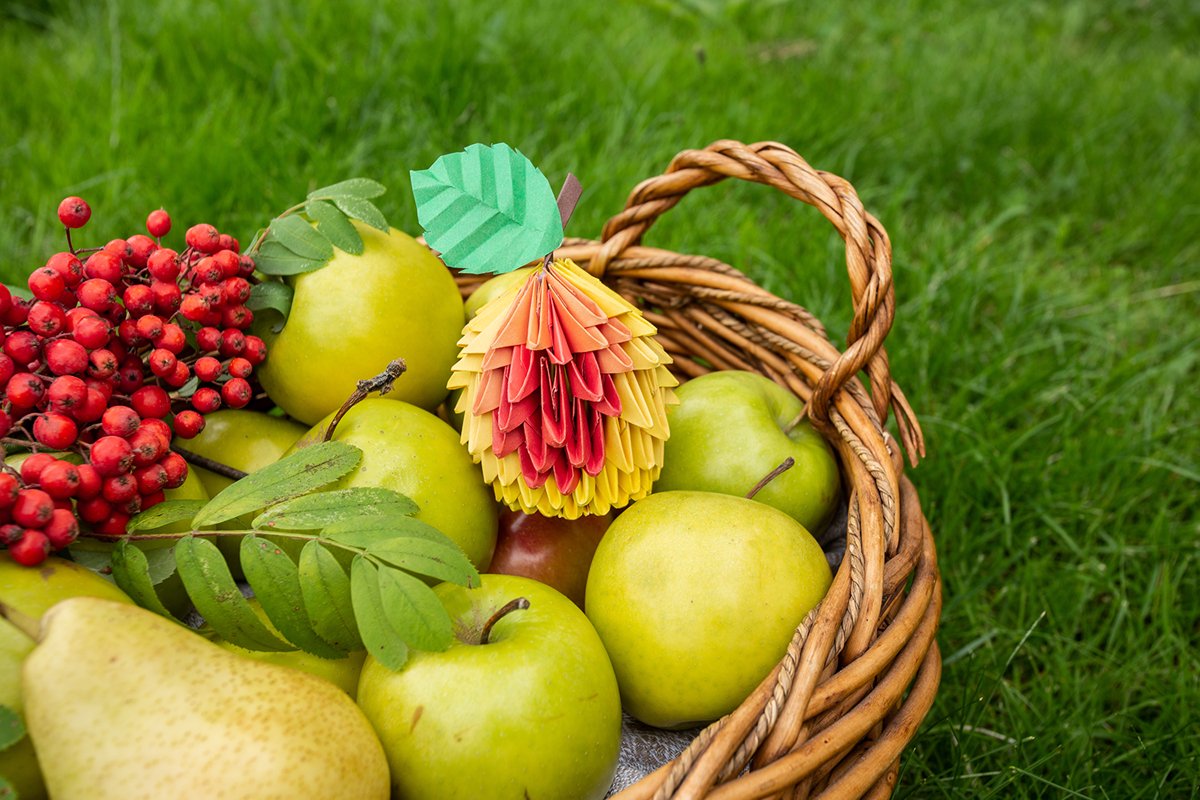Autumn Apple harvest background wicker basket on green grass example image 1
