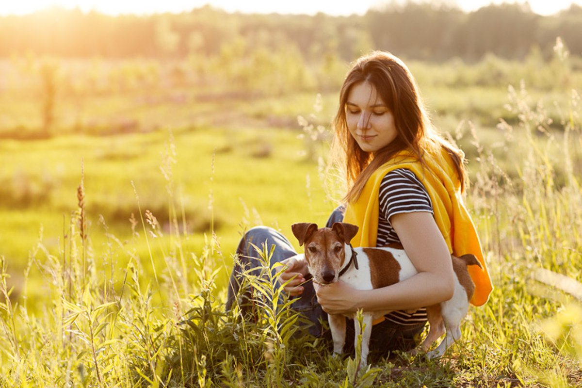 Young girl sitting on the grass and hugs a dog Jack Russell example image 1