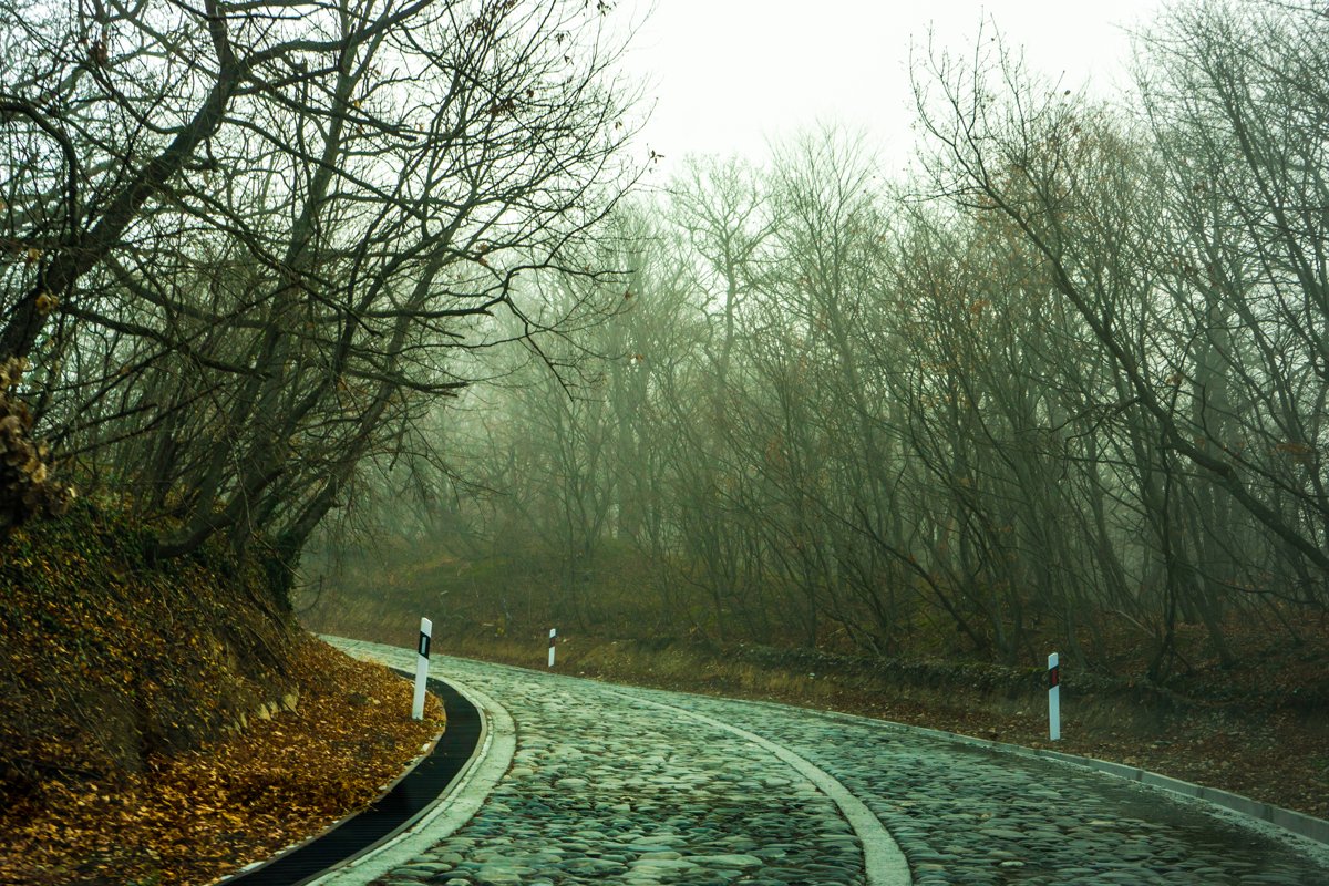 Road in the misty autumnal forest example image 1