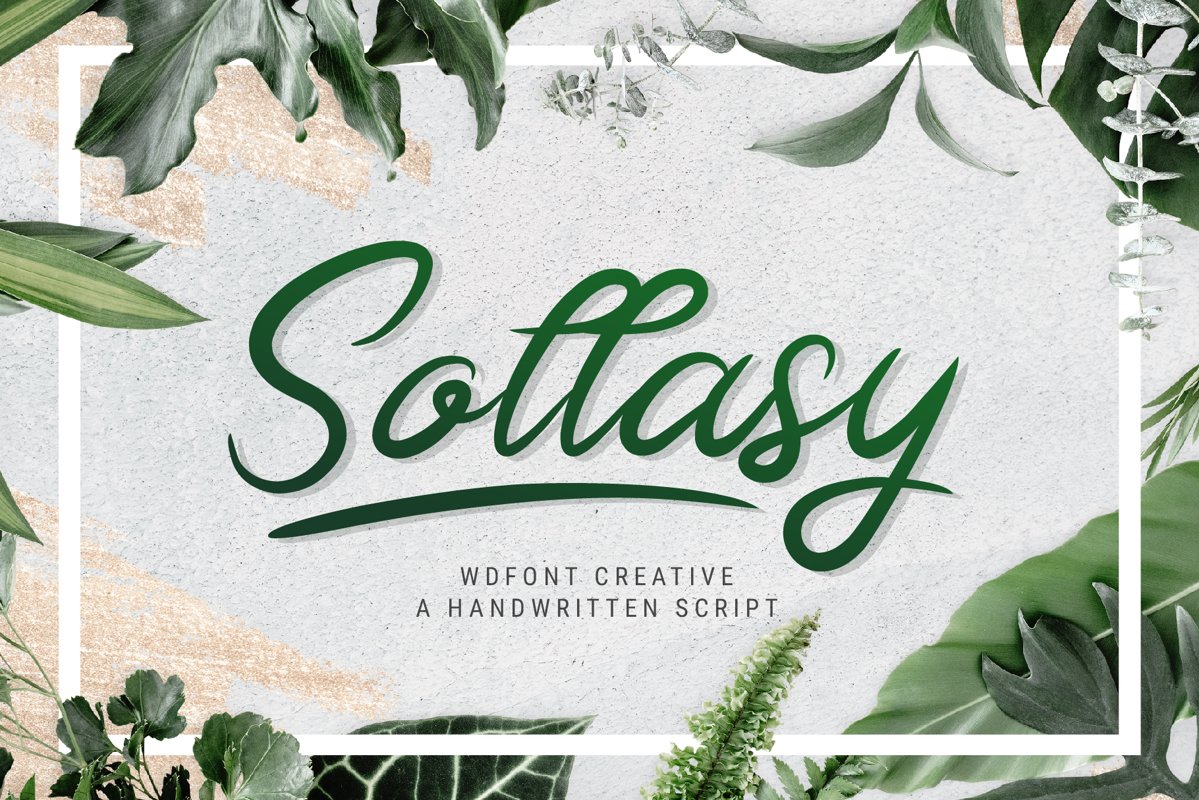 Sollasy example image 1