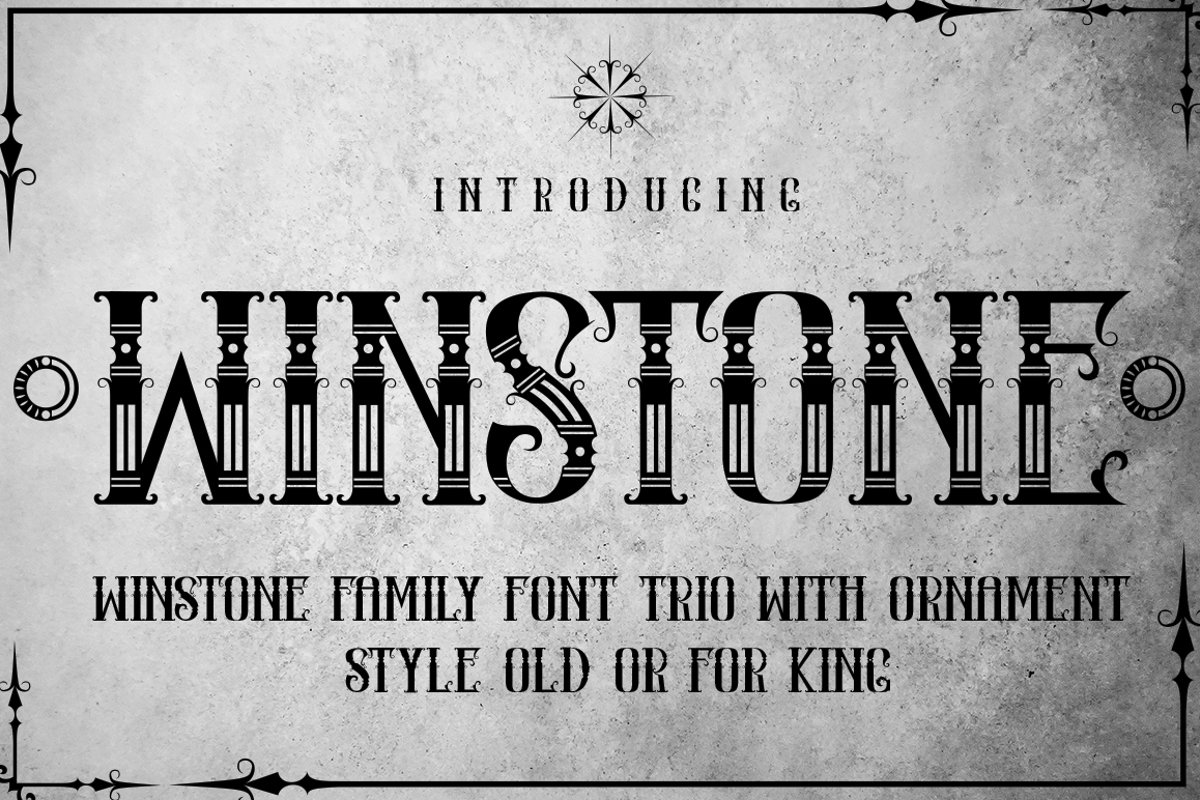 WINSTONE example image 1