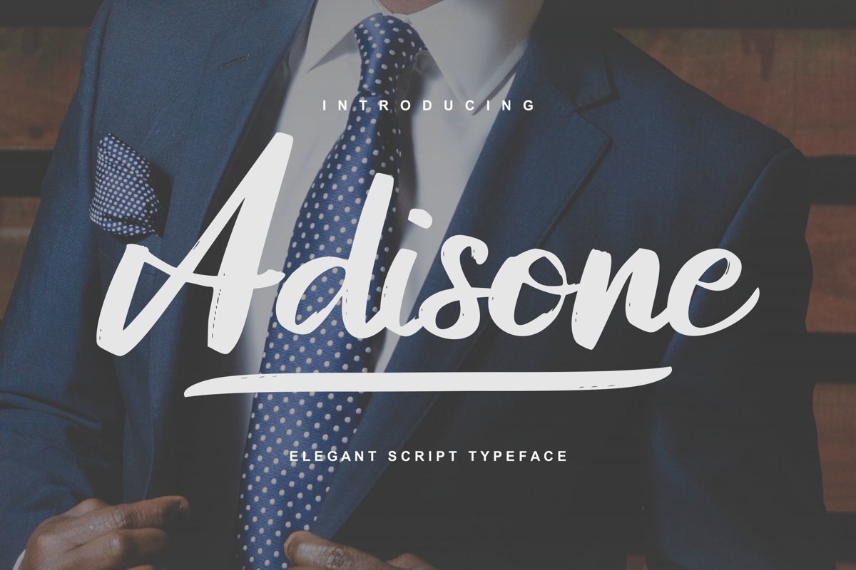 Adisone | Elegant Script Typeface example image 1